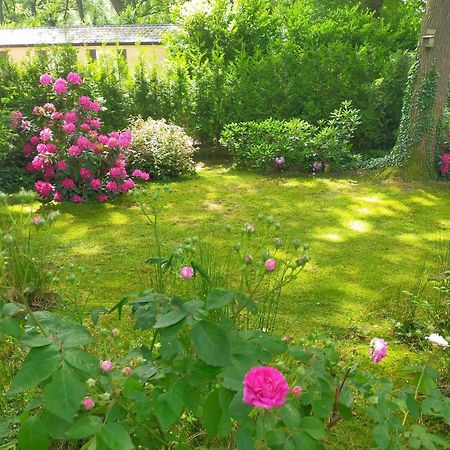 Vakantie Veluwe Вагенинген Экстерьер фото
