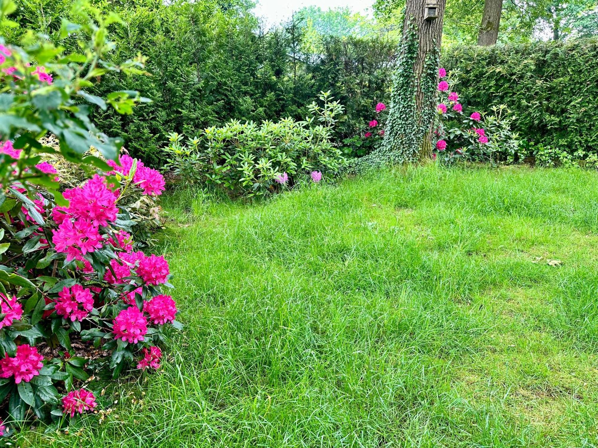 Vakantie Veluwe Вагенинген Экстерьер фото