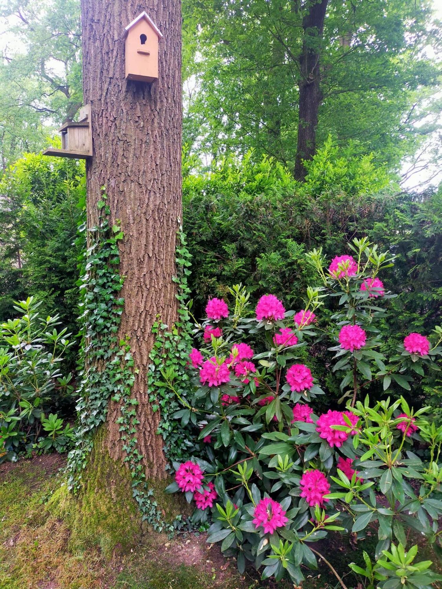 Vakantie Veluwe Вагенинген Экстерьер фото